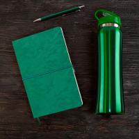 Набор подарочный SUNSHINE: бутылка для воды, бизнес-блокнот, ручка, коробка со стружкой, зеленый