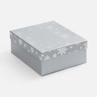Коробка Wintry, серебристая