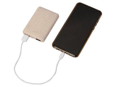 Портативное зарядное устройство Wheatty, 5000 mAh