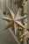 Светильник Guiding Star Светильник Guiding Star