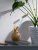Настольный увлажнитель-ароматизатор Dewy Настольный увлажнитель-ароматизатор Dewy
