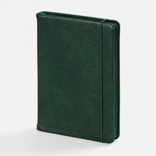 Ежедневник Chevret, недатированный, зеленый