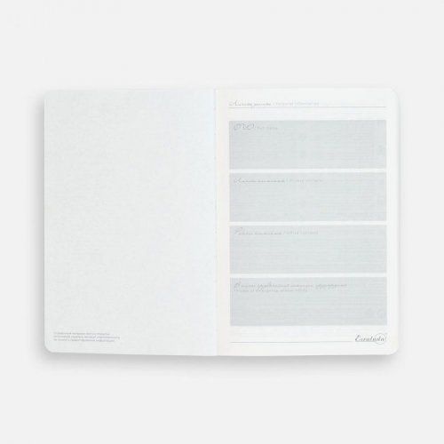 Ежедневник Extra, недатированный, зеленый