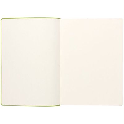 Ежедневник Flexpen, недатированный, серебристо-зеленый