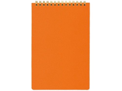 Блокнот А5 Pragmatic