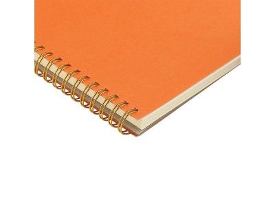 Бизнес тетрадь на гребне А5 Pragmatic, 60 листов в клетку, оранжевый