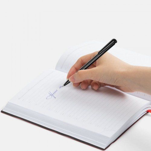 Ручка шариковая Penpal, черная