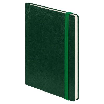 Ежедневник недатированный  Voyage BtoBook, зеленый