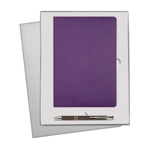 Подарочный набор Rain/Alpha, фиолетовый (ежедневник недат А5, ручка)