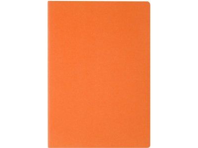 Бизнес тетрадь А5 Pragmatic, 40 листов в клетку, оранжевый