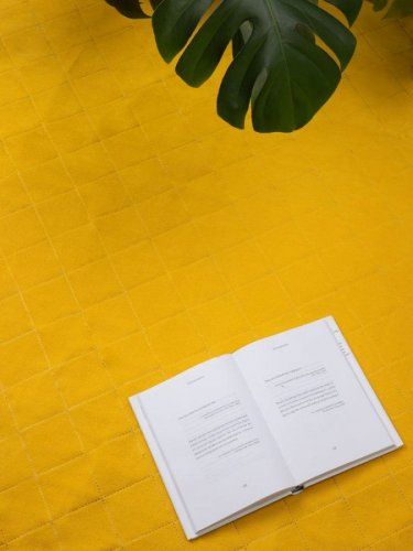 Плед для пикника Soft & Dry 2, желтый
