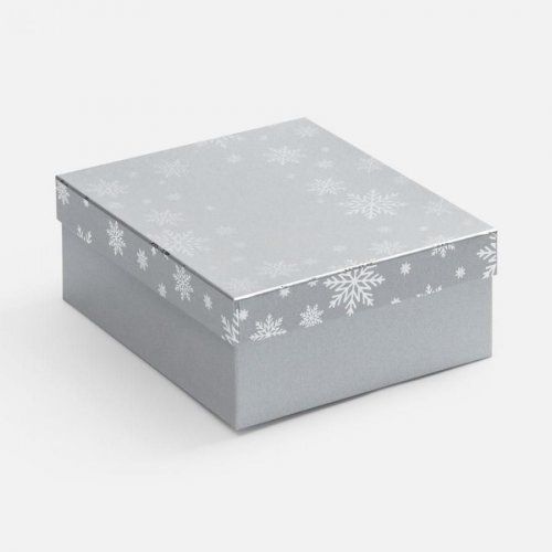 Коробка Wintry, серебристая