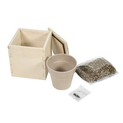 Горшочек для выращивания мяты с семенами (6-8шт) в коробке MERIN