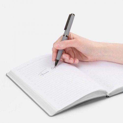 Ручка шариковая Inkish Gunmetal в футляре, серая