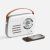 Bluetooth-колонка с радио Retronica, белая